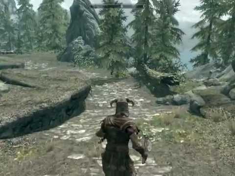 Skyrim Performance on a low-end PC