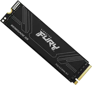 Kingston Fury Renegade G5