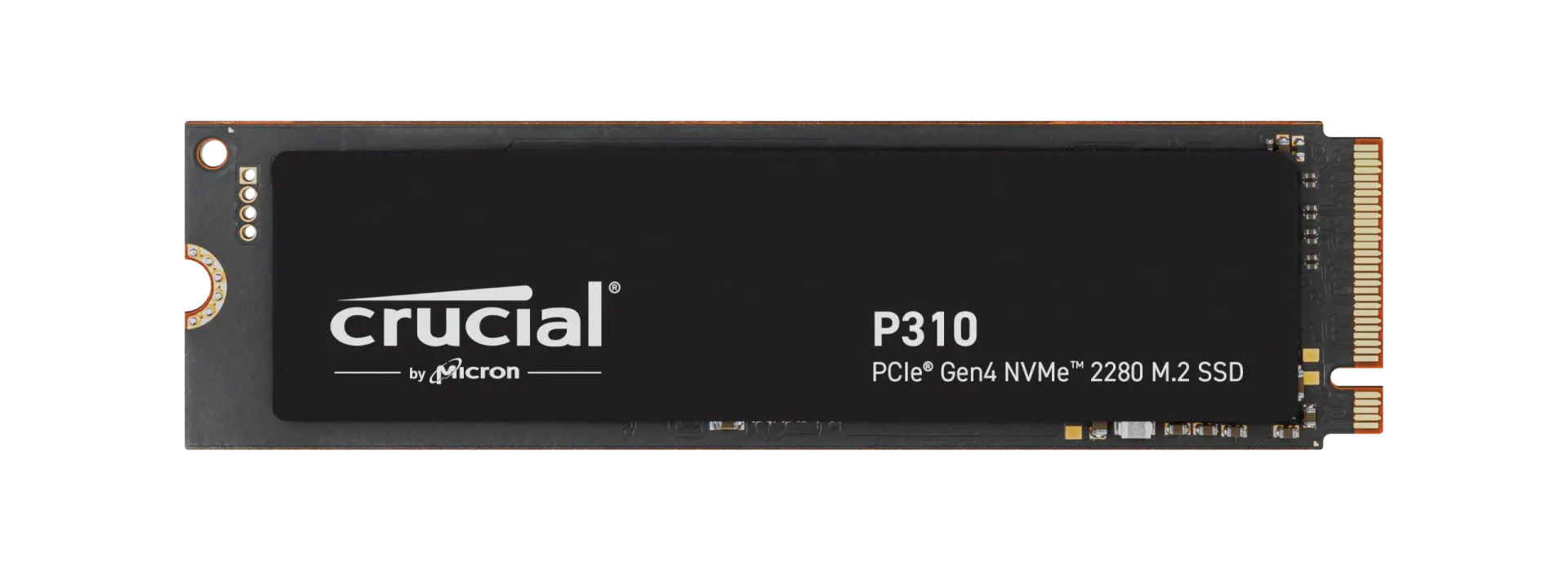 crucial p310